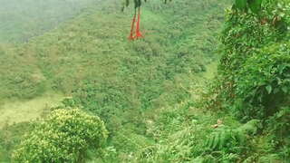 Colombia den Mondi E Dan Lenga i Plan ku Stranheronan Hòmber Riba Kambio Di Juda Ekonomia.