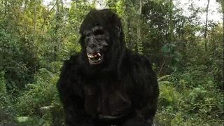 40 унций Донга Кинга!