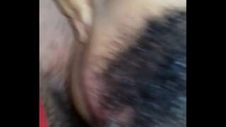 Le haghaidh an asal aflor