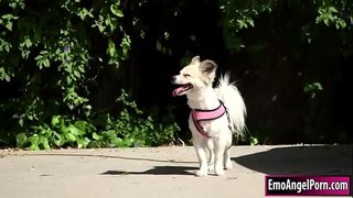 ���েতিতে, সেক্সি, খোকামনি, খুঁজে বের করে তার কুকুর থেকে তার প্রতিবেশী সম্পত্তি.তার প্রতিবেশী চায় একটি পুরস্কার,তারা অপসারণ, তাদের জামাকাপড় এবং তিনি তখন গলা প্রতিবেশী, বড় মোরগ.বিনিময়ে তার প্রতিবেশী তার ভগ এবং পায়ু, গভীর, এবং, হার্ড, যতক্ষণ না তিনি, বাঁড়ার রস খাবার, তার উপর.