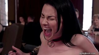 Sirah budak Veruca James nungtun budak siswa latihan Sabrina Bank pikeun layanan slut jeung maranehna teuas bangsat jeung ngalebetkeun di lantai luhur orgy bdsm pihak